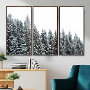 Misty Mountain Forest Canvas Print, Foggy Pine Trees Nature