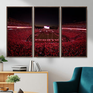Sanford Stadium Wall Art Canvas Print – Georgia Bulldogs