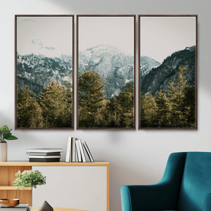 Mountain Forest Wall Art Canvas Print, Alpine Landscape