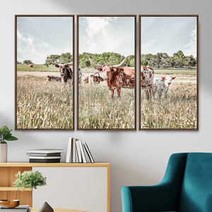 Texas Longhorn Cattle Wall Art Canvas Print, Rustic Ranch