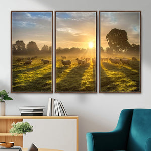 Sheep Wall Art Canvas Print – Rural Farm Animal Artwork