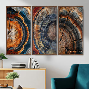 Tree Ring Triptych Canvas Wall Art — Set of 3 Wood Grain