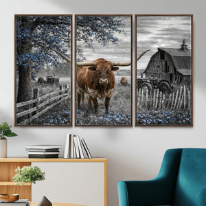 Texas Longhorn Canvas Wall Art, Rustic Farm Barn Bluebonnet