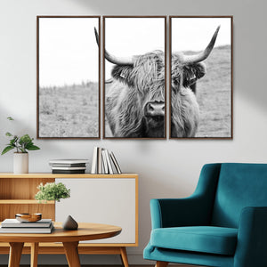 Newfoundland Cow Art Wall Art, Black White Cow Art Wall Art