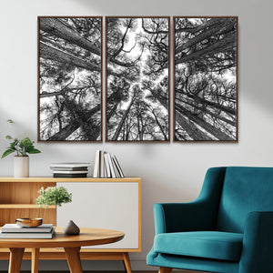 Trees Contemporary Art Canvas Print