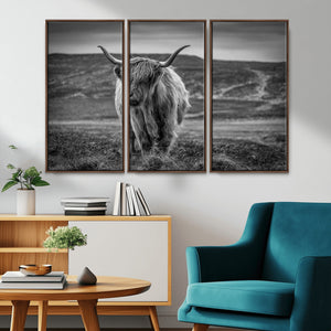 Fluffy Cattle Wall Art Print, Highland Cow Canvas, Framed
