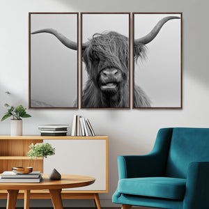 Texas Cow Wall Art Canvas, Texas Longhorn Cattle Canvas