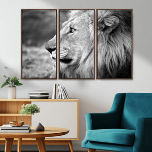 Lion Wall Art Canvas Print – Framed Majestic Wildlife