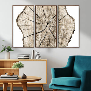 Abstract Wood Tree Ring Wall Art - Ready to Hang Minimalist
