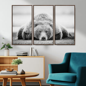 Resting Grizzly Bear Wall Art Canvas Print – Majestic Lazy