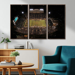 Wake Forest University Demon Deacons Canvas Printi, Football