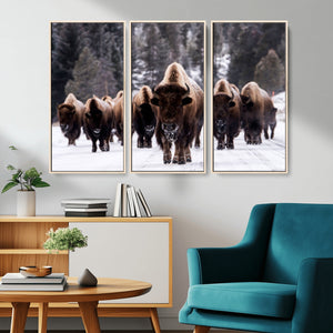 Bison Wall Art Canvas Print- Bison Herd Canvas Wall Art –