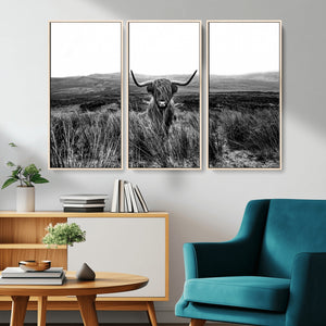 Black and White Highland Cow Canvas Wall Art, Longhorn