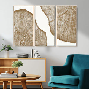 Rustic Brown Tree Ring Wall Art Canvas Print – Framed and