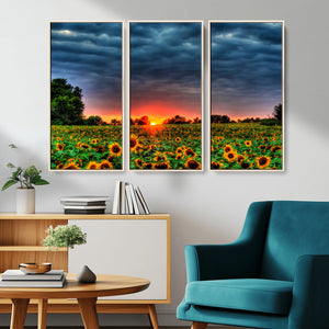 Golden Sunflower Field at Sunset – Breathtaking Sky and