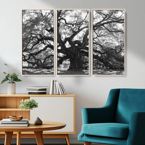 Ancient Oak Wall Art Canvas Print, Majestic Twisted Branches