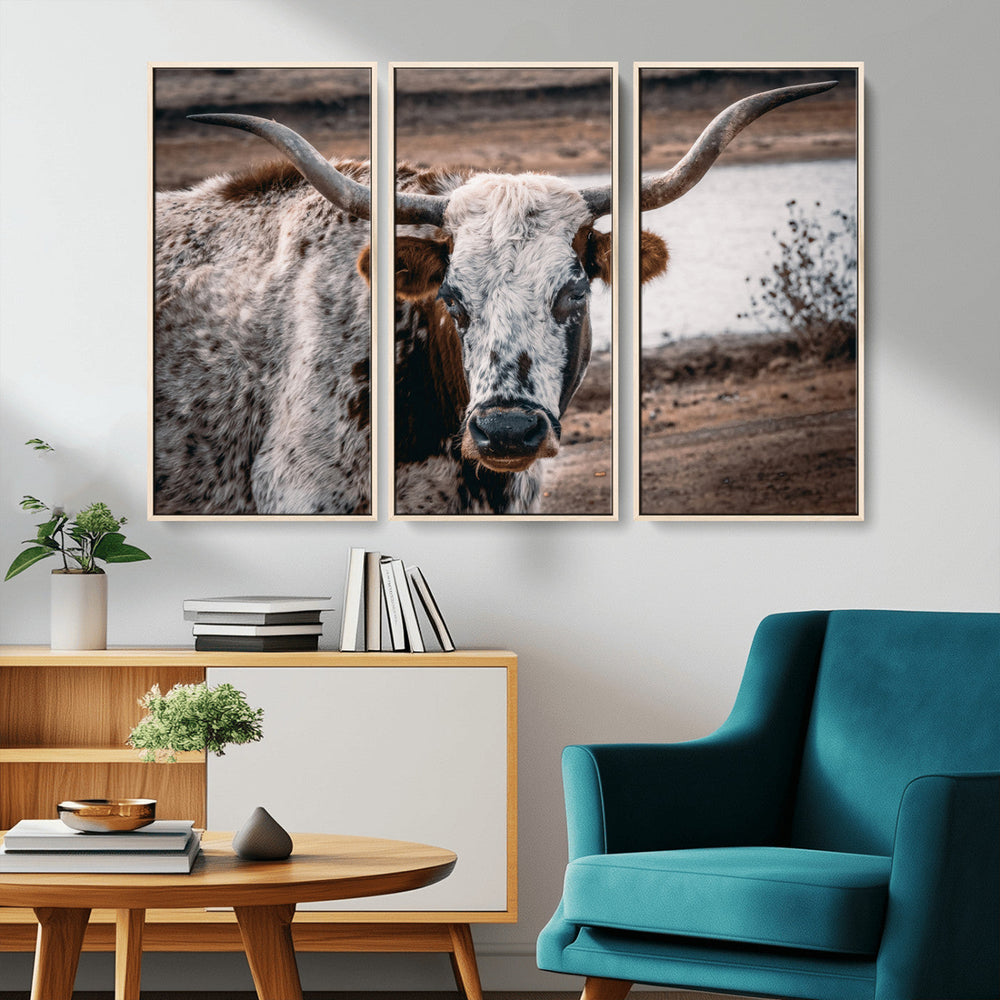 Texas Longhorn Wall Art Canvas Print – Framed Spotted Bull
