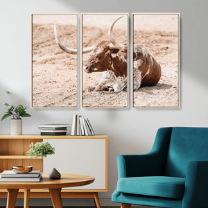 Texas Longhorn Wall Art – Framed Resting Bull Canvas