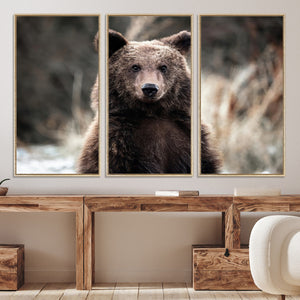 Brown Bear Wall Art Canvas Print – Framed Majestic Woodland