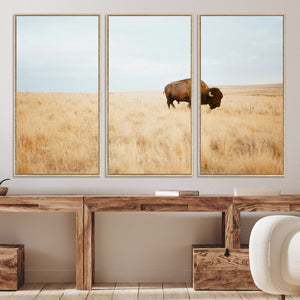 Buffalo Wall Art Canvas Print – Framed Western Wildlife
