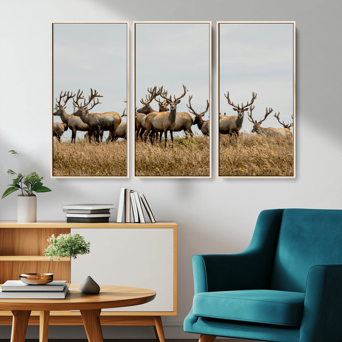 Elk Herd Wall Art Canvas Print – Framed Wildlife Photography