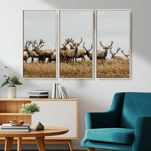 Elk Herd Wall Art Canvas Print – Framed Wildlife Photography
