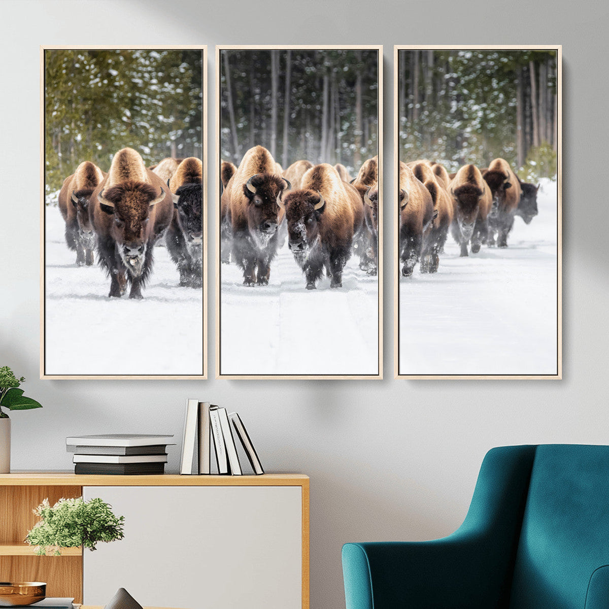 American Bison Herd Wall Art Canvas Print – Powerful Winter