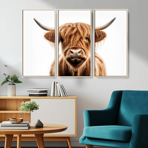 Scottish Highland Cow Canvas Print, Framed Highland Cow