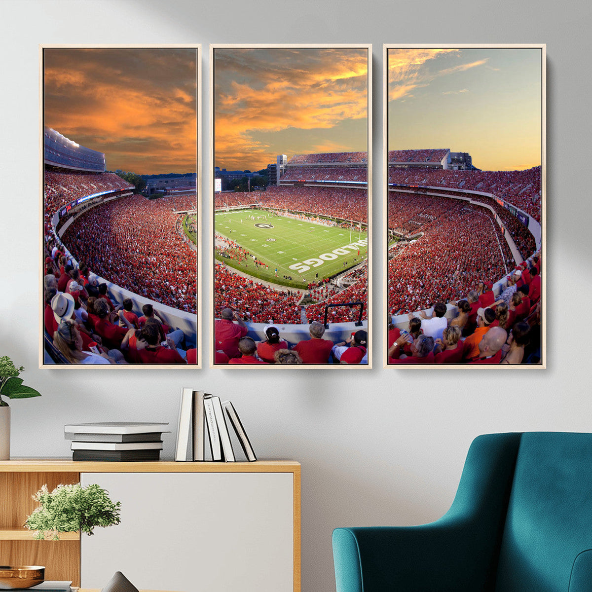 Dooley Stadium Wall Art, Sports Arena Canvas Print, Dooley