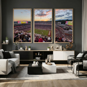 Donald W. Reynolds Razorback Stadium Wall Art Canvas Print –