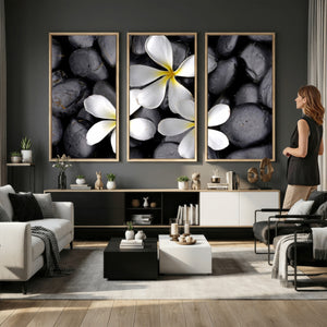 Plumeria Frangipani Black Stone Canvas | White Flower Spa