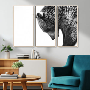 Black and White Grizzly 399 Bear Canvas Print Wall Art |