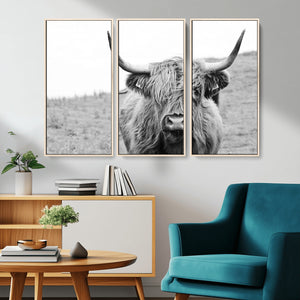 Newfoundland Cow Art Wall Art, Black White Cow Art Wall Art