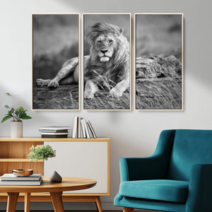 King Forest Lion Wall Art Canvas Print – Framed Majestic