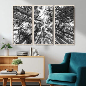Trees Contemporary Art Canvas Print
