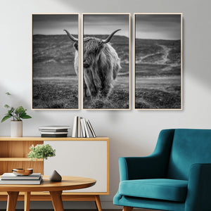 Fluffy Cattle Wall Art Print, Highland Cow Canvas, Framed