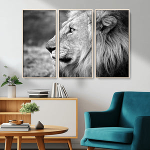 Lion Wall Art Canvas Print – Framed Majestic Wildlife