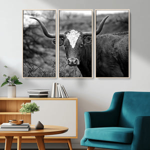 Western Home Wall Art Canvas Print, Framed Texas Longhorn