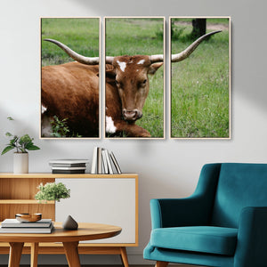 Longhorn Cow Animal Wall Art Canvas Print