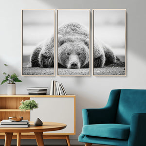 Resting Grizzly Bear Wall Art Canvas Print – Majestic Lazy