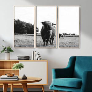 Black and White Highland Cow Wall Art Canvas Print | Rustic