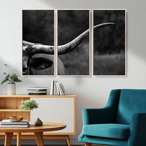 Cow Longhorn Wall Art | Black and White Print | Ready to