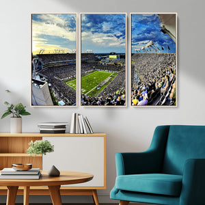 Framed USF Bulls Football Team Print - Tampa Raymond James