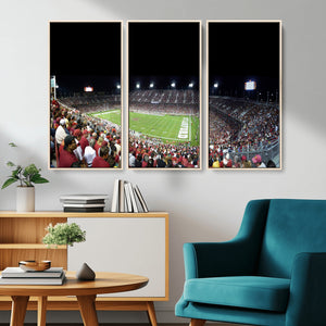 Stanford University Cardinal Football Team Print - Stanford