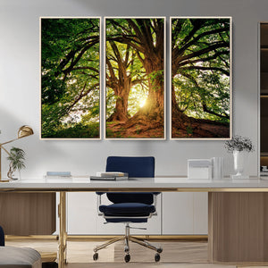 Majestic Ancient Tree Wall Art, NatureCanvas Print, Woodland