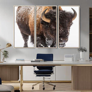 Bison Wall Art Canvas Print For Farmhouse, Wild Animal Wall