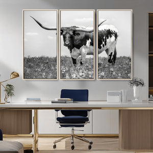 Texas Black White Highland Longhorn Cow Wall Art Canvas