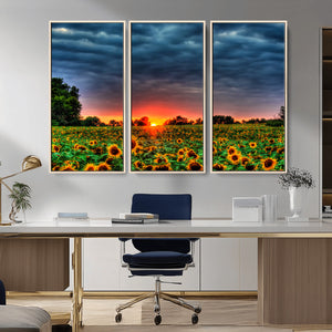 Golden Sunflower Field at Sunset – Breathtaking Sky and
