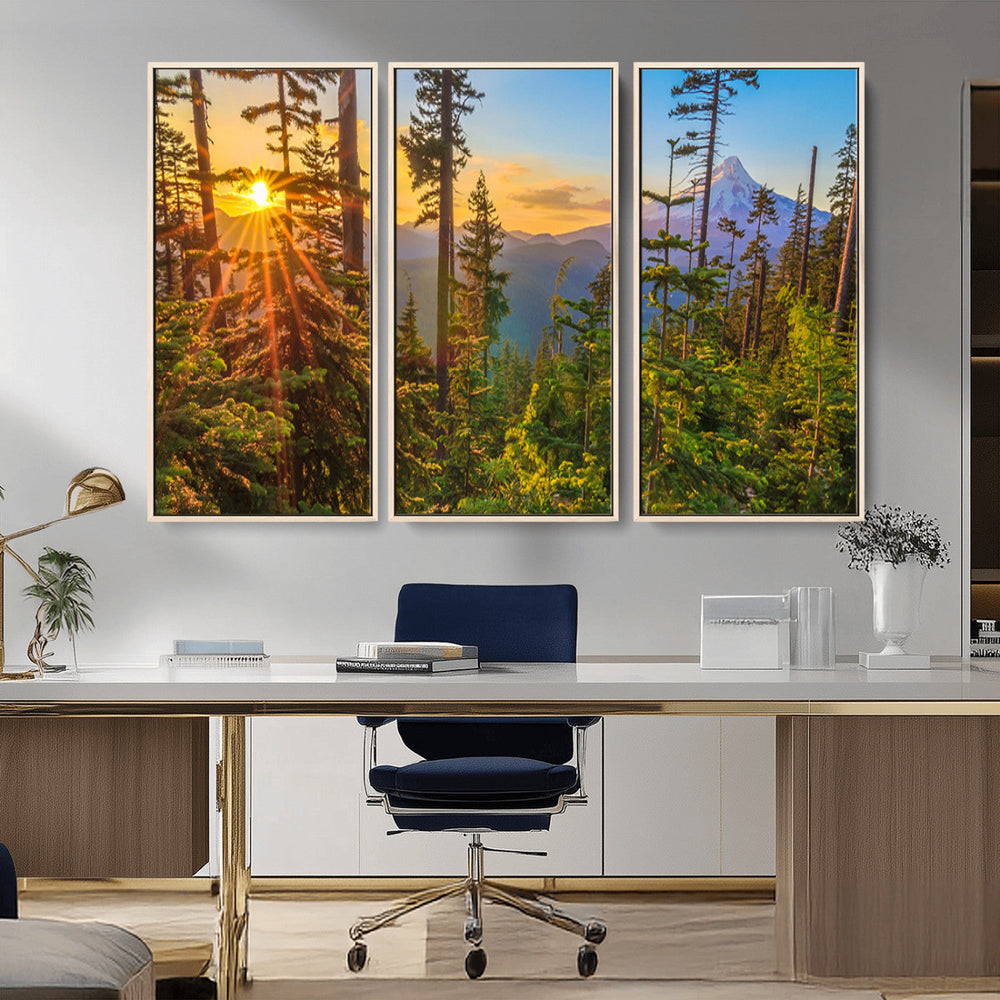 Forest Sunset Wall Art Canvas Print, Glowing Evening Light