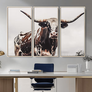 Texas Longhorn Wall Art Canvas Print – Framed Spotted Bull